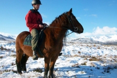 winter-pony-trek