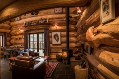 Cinclus-interior