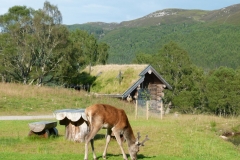 P1110572LR