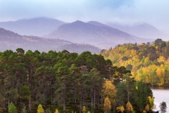 glen-affric-4