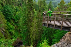 the-viewing-platform-at-Plodda-Falls-with-Douglas-Fir