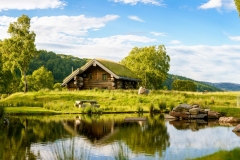 Eagle Brae Stock Photography , June 2016