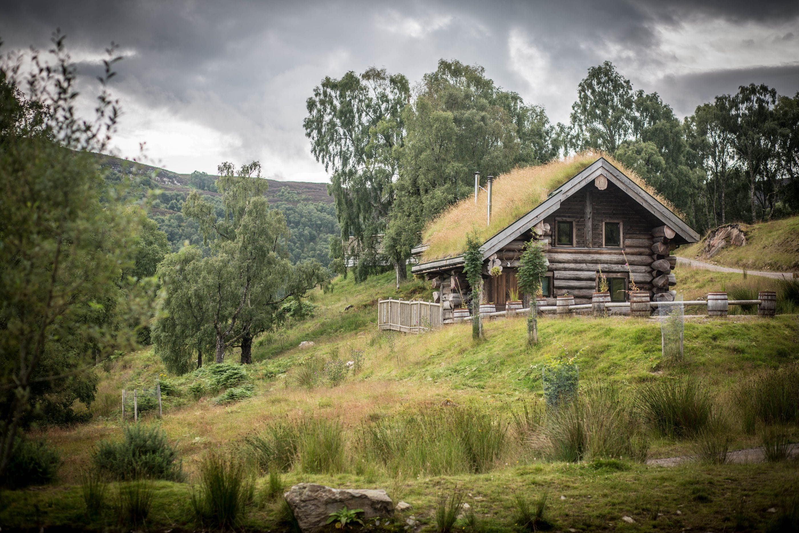 Log cabin sits on grass