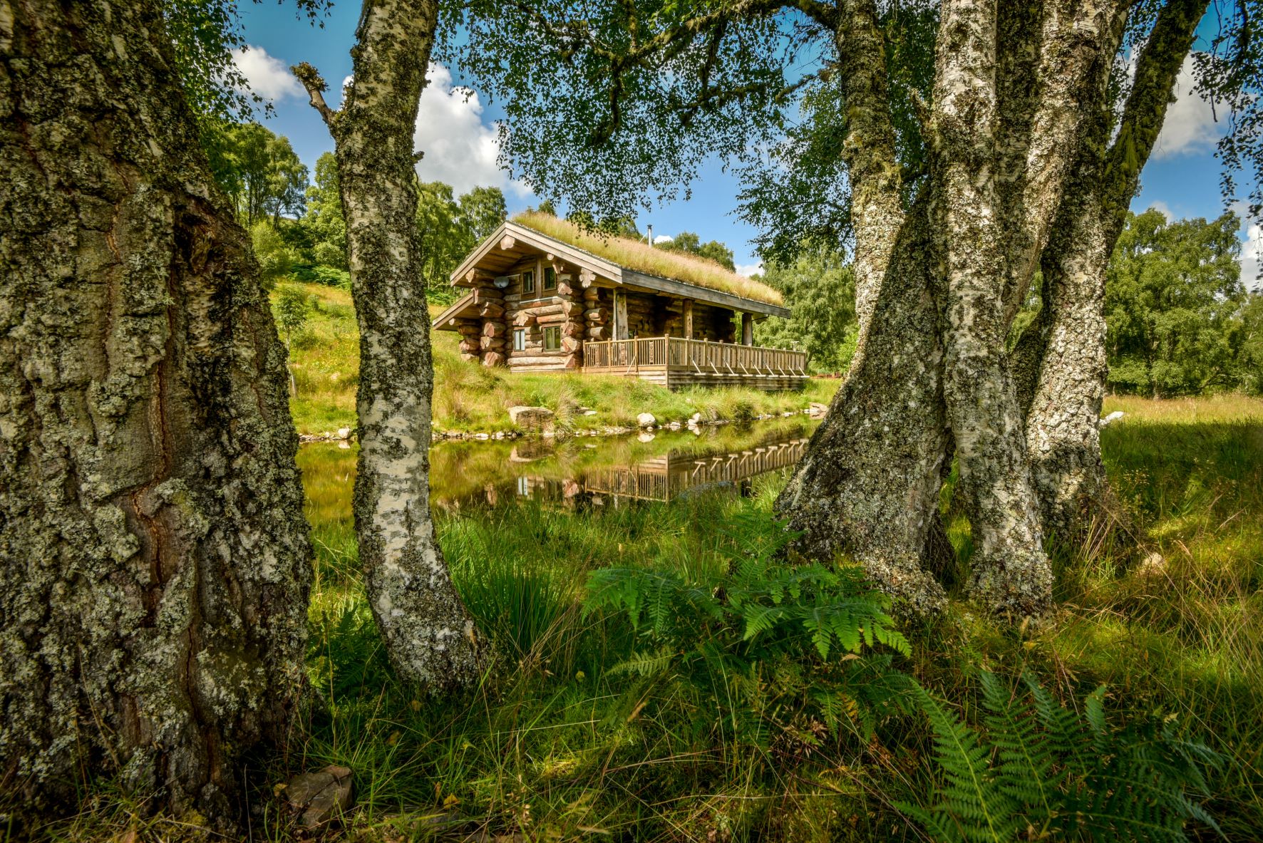 Ardea lodge at Eagle Brae