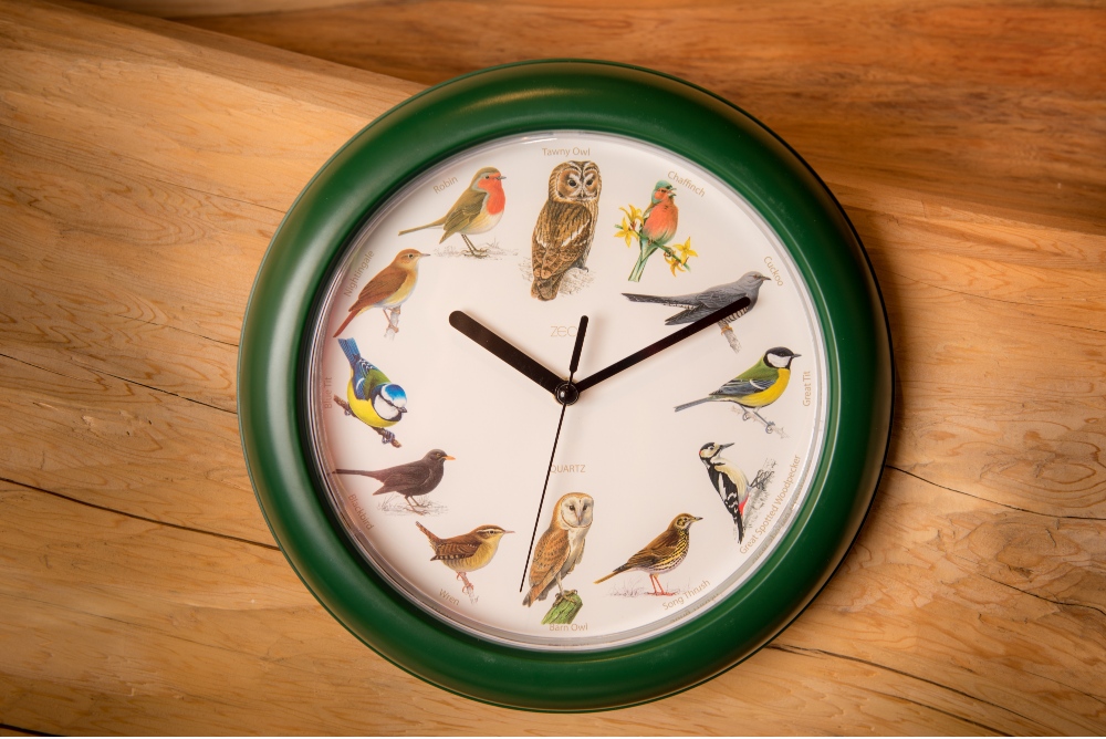 Bird song clock