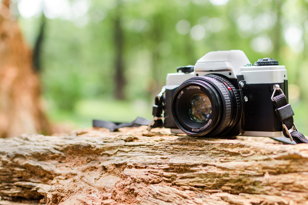 A camera sitting on a log in the outdoors