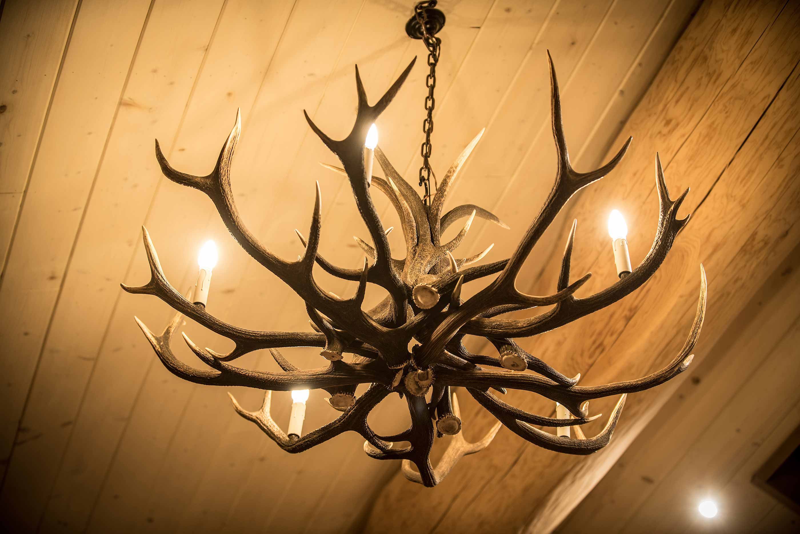 An antler chandelier hanging from ceiling