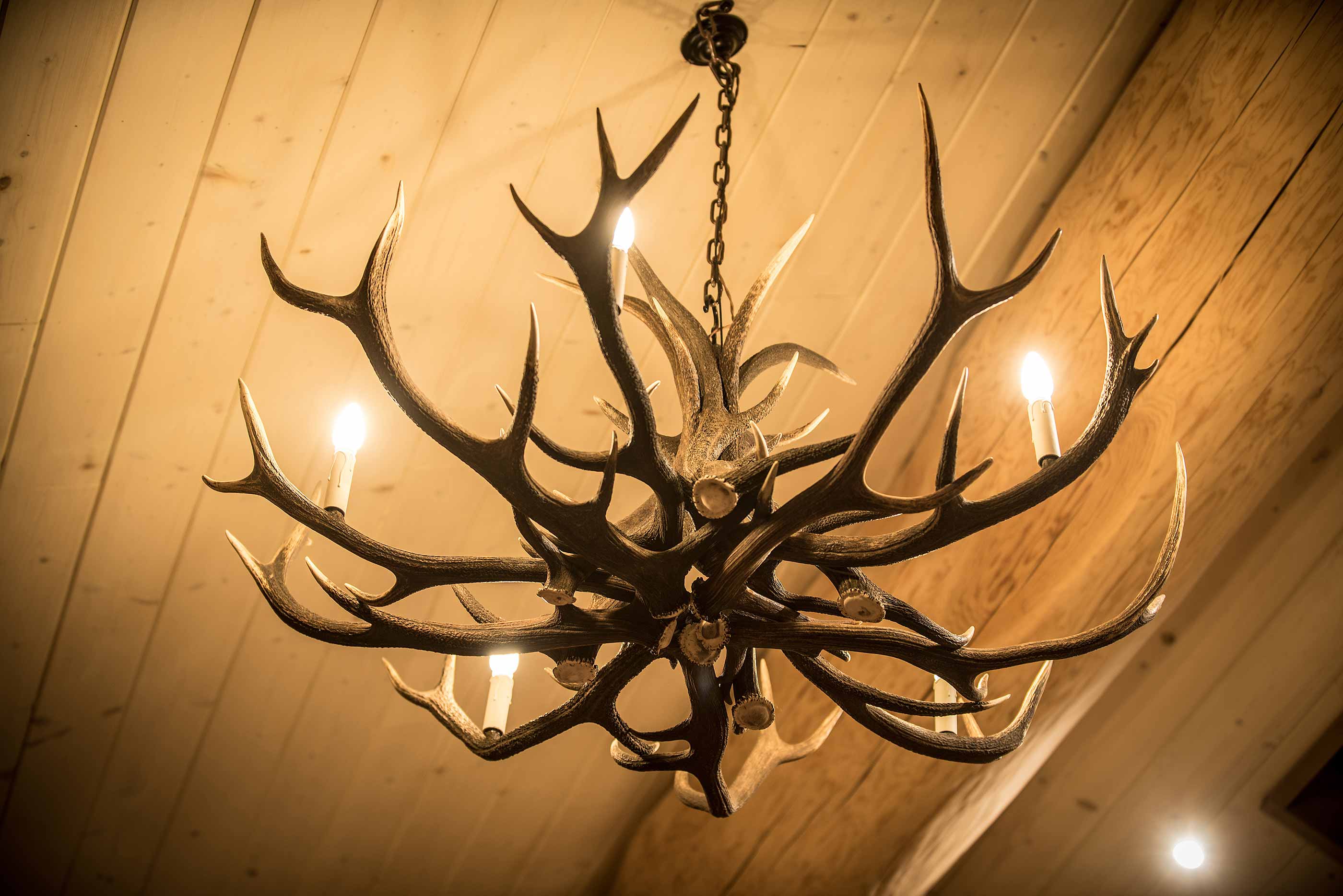 Antler chandelier