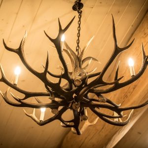 Antler chandeliers