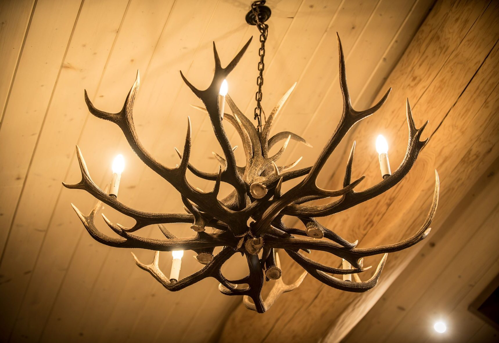 A chandelier made of stag antlers