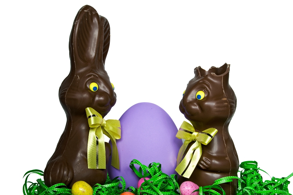 Two chocolate bunnies, one with it's ear eaten