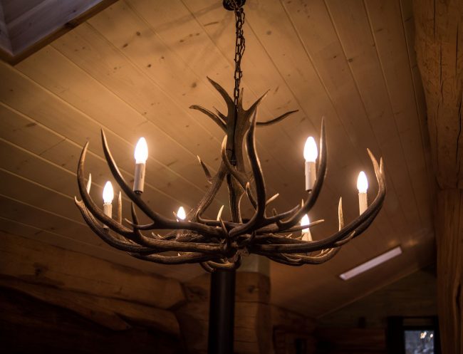 A stag antler chandelier
