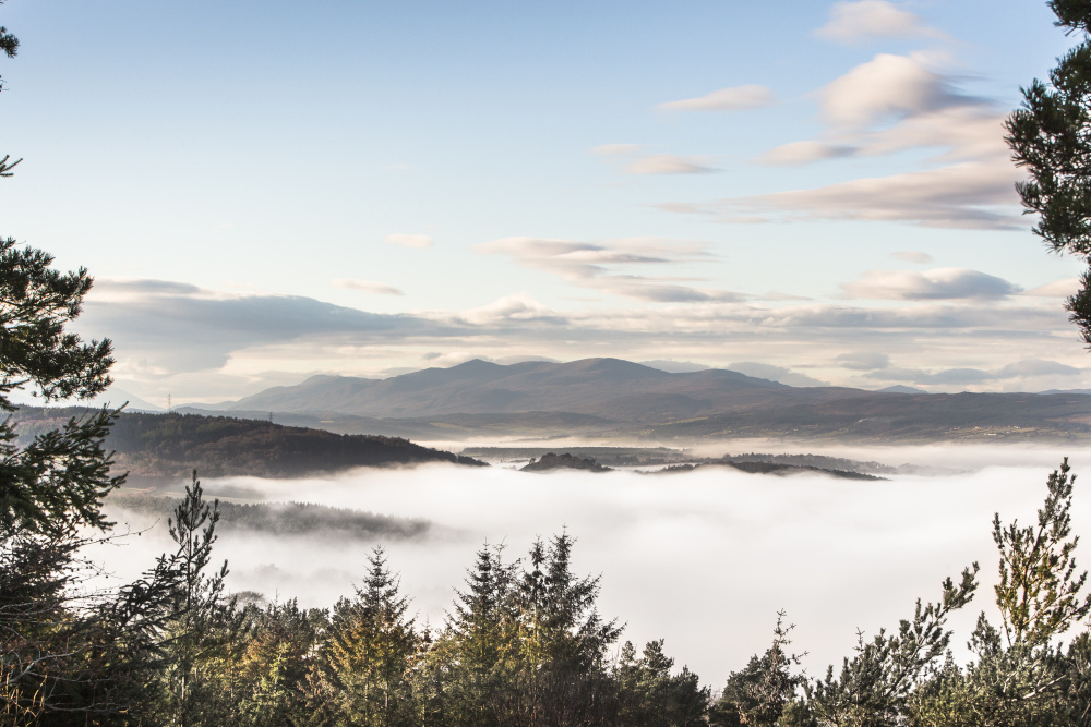 Mist on Beauly Firth from Craig Phadrig