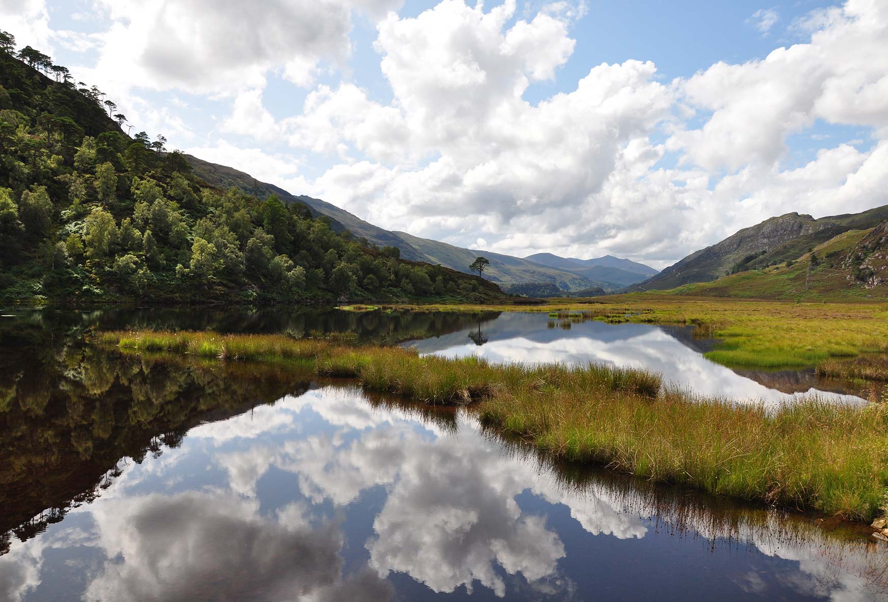 A mirror reflection on Strathglass