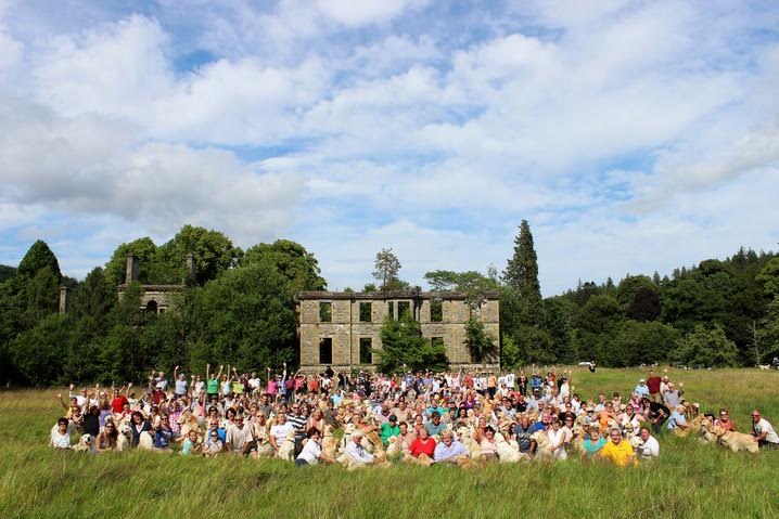 Large golden retriever breeder club event