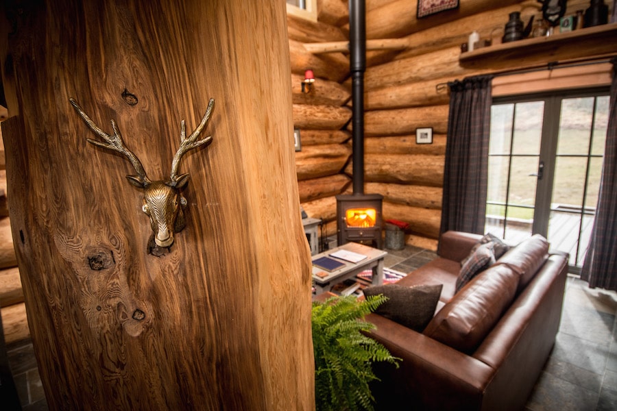 Jackalope head mounted onto a wall