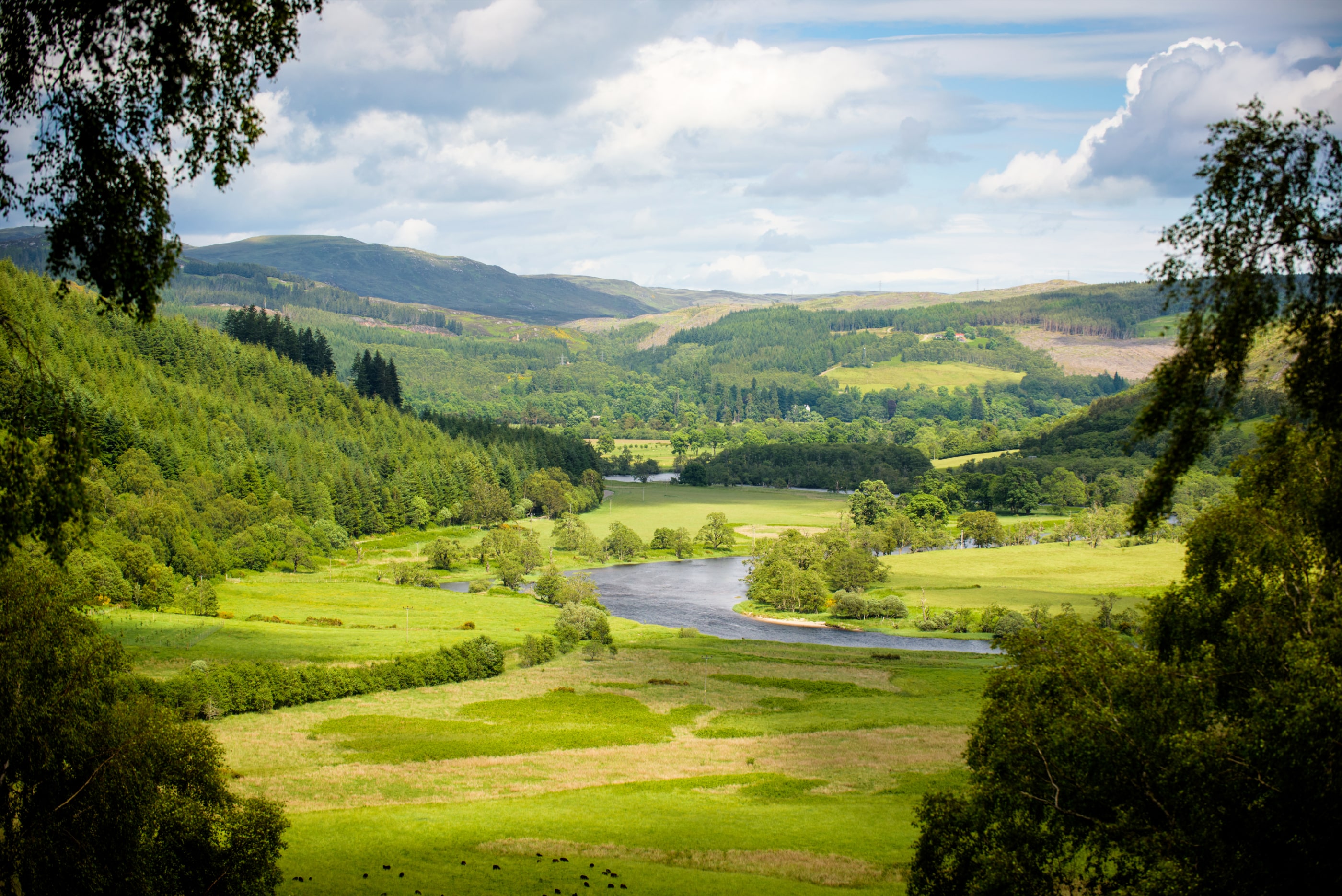 Green scenery around Eagle Brae in the Highlands