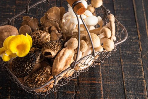 Foraged food on a rustic table