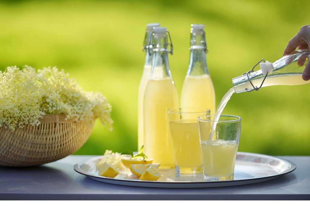 Homemade elderflower cordial