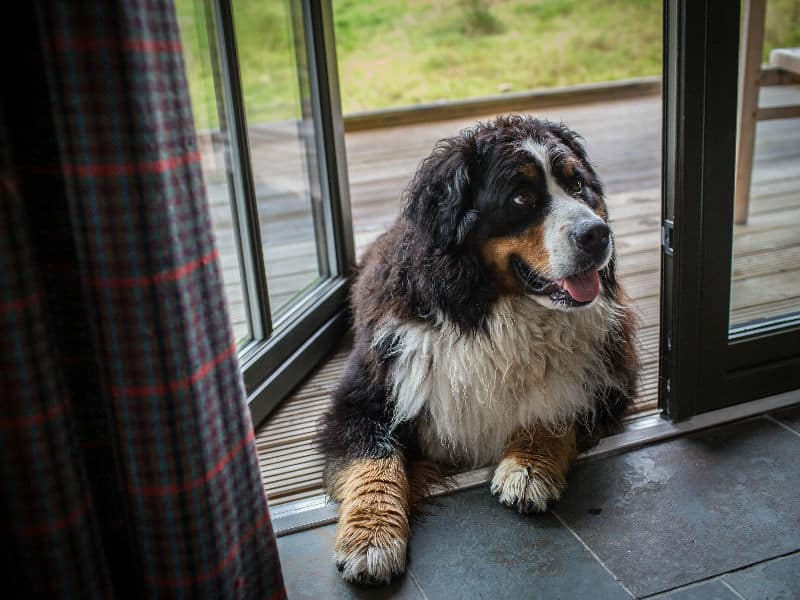 Kyla sitting in the doorway of a log cabin