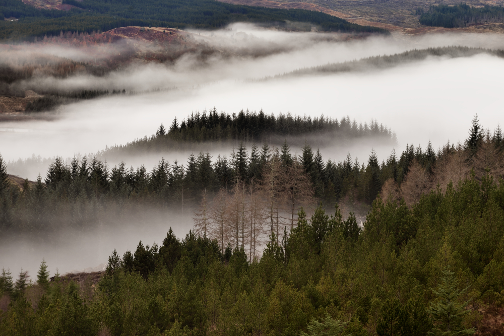 Scottish Highlands from high ground on a misty day