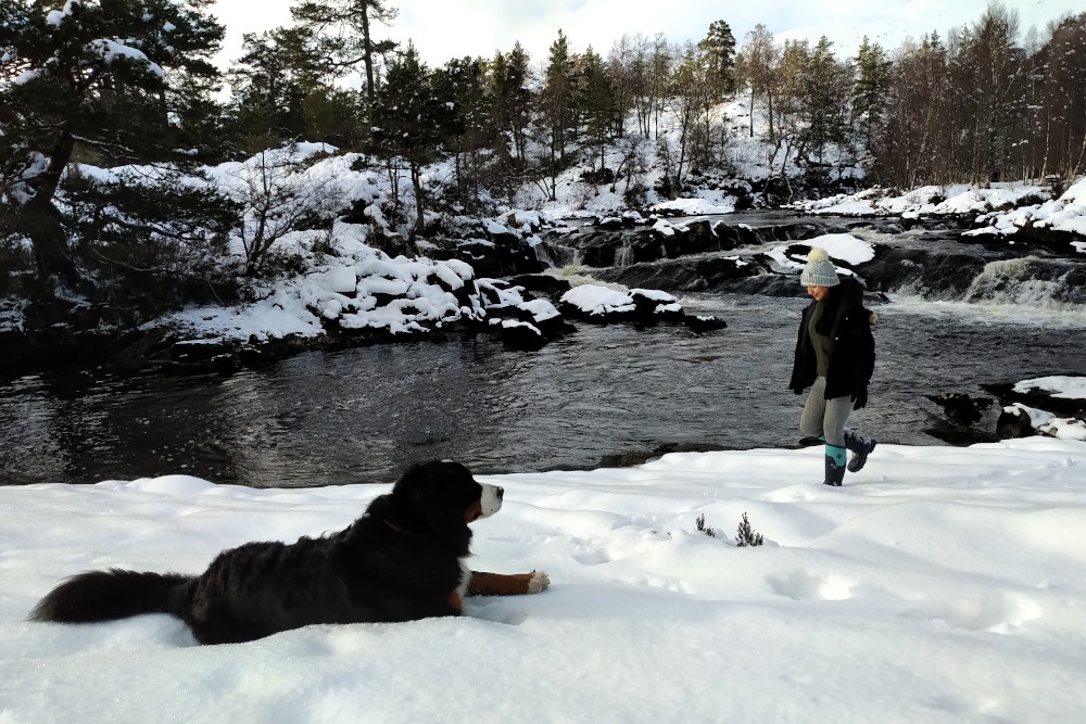 Snowy scene with woman and dog at the River Affric