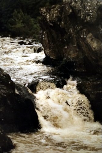 A salmon leaping through Deanie Falls on the River Farrar