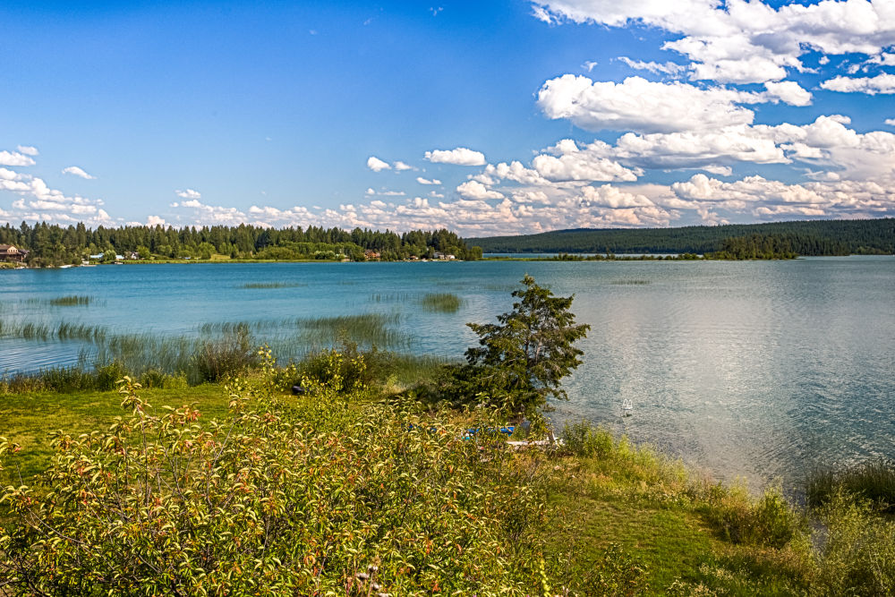 View of Williams Lake in British Columbia