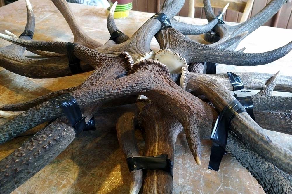 How To Make An Antler Chandelier Step, Who Makes Antler Chandeliers