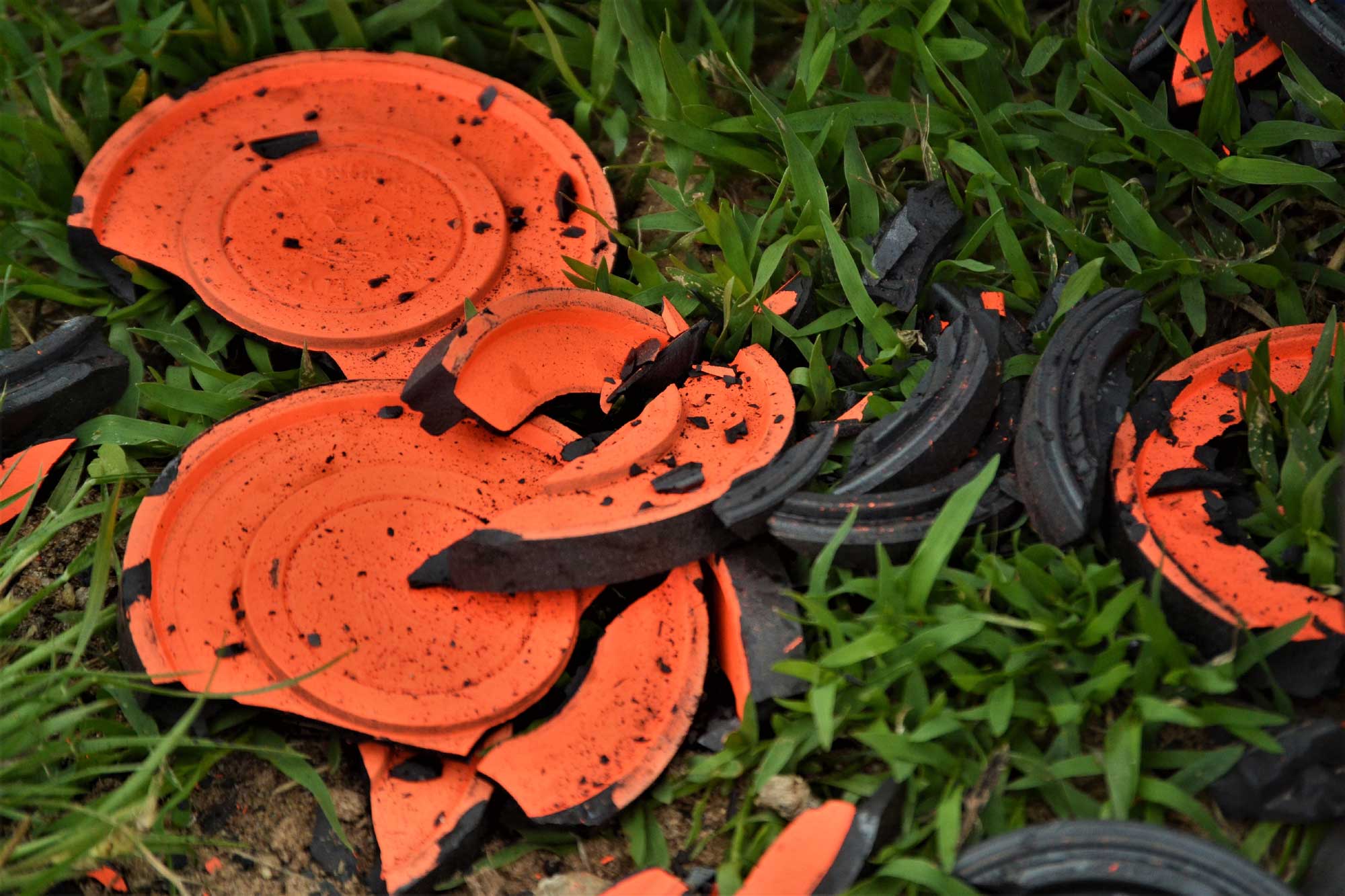 Clay Pigeons Eagle Brae