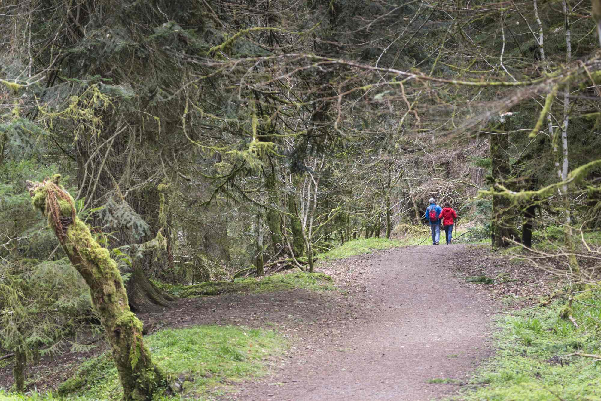 A couple strolling through Reelig Glen