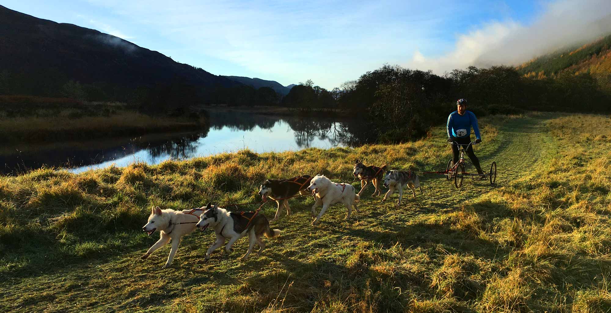 Dog sledding activity at Eagle Brae in the Scottish Highlands