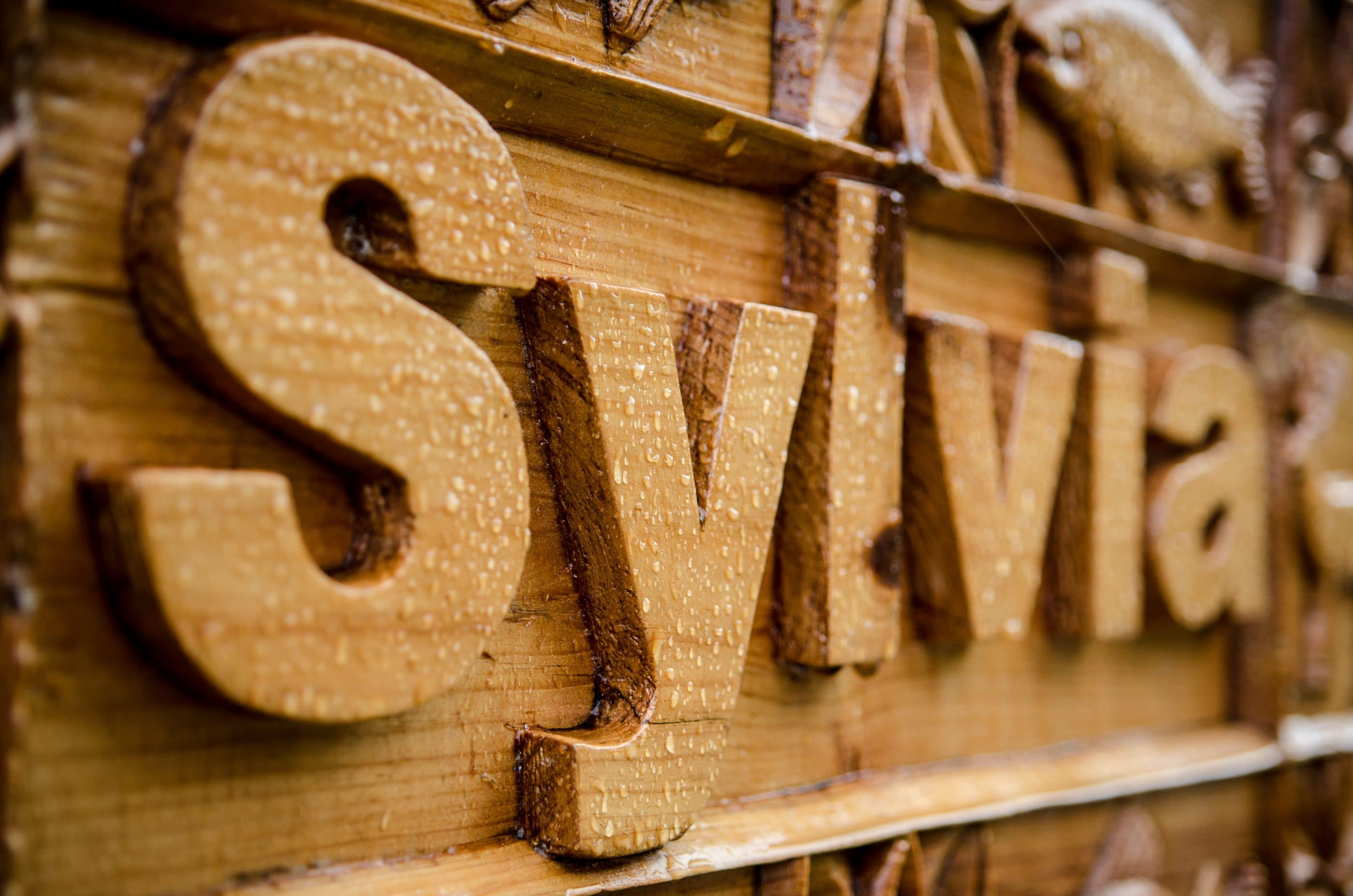 Hand carved wooden sign for Sylvia log cabin