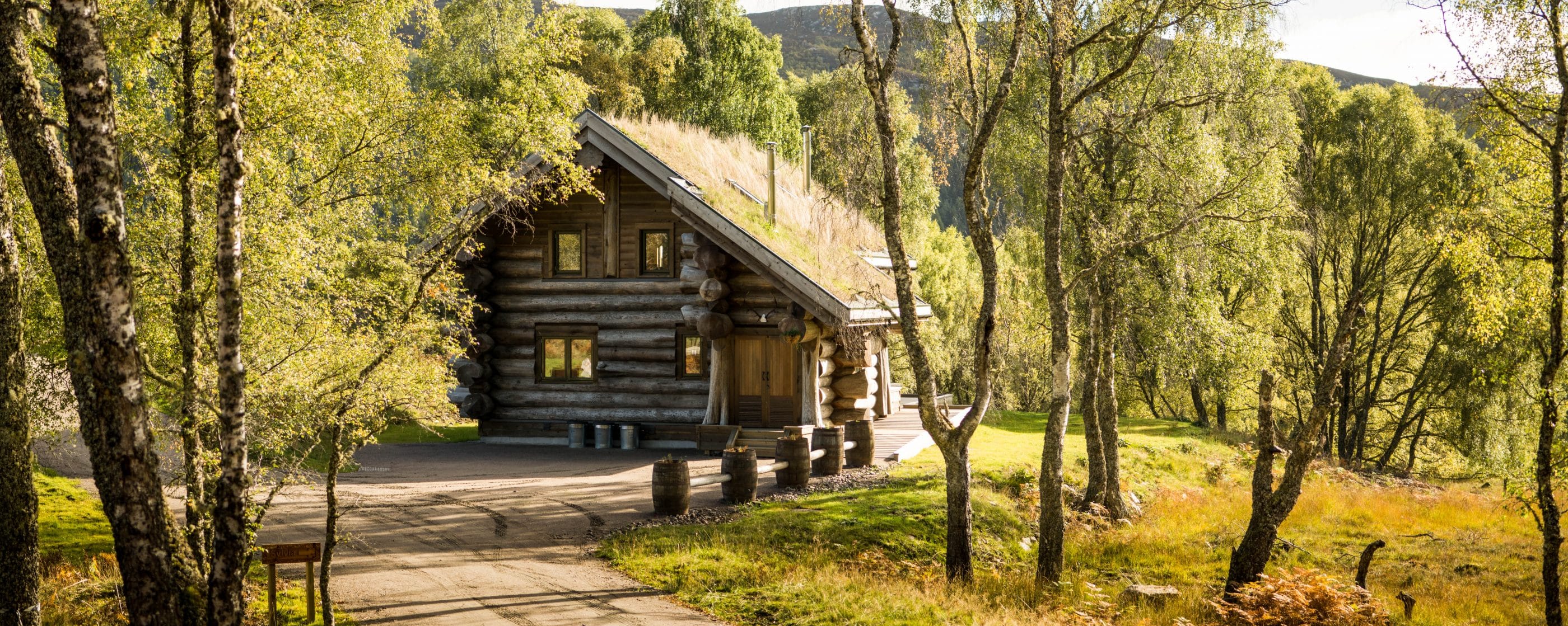 A view of Sylvia log cabin through the trees