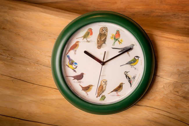 Birdsong clock - Image 3