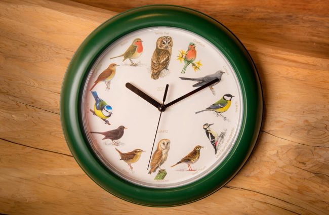 Birdsong clock