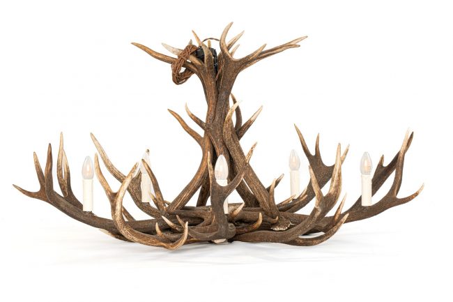 A light made from Stag antlers