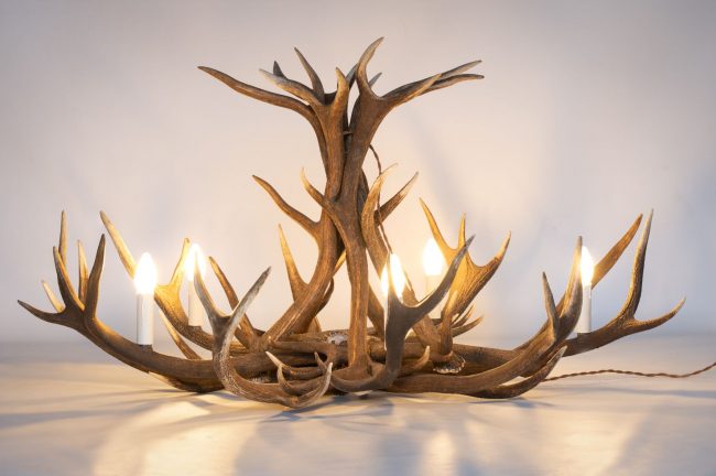 A stag antler light lit up