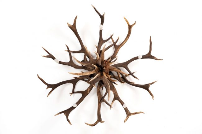 Stag antler light