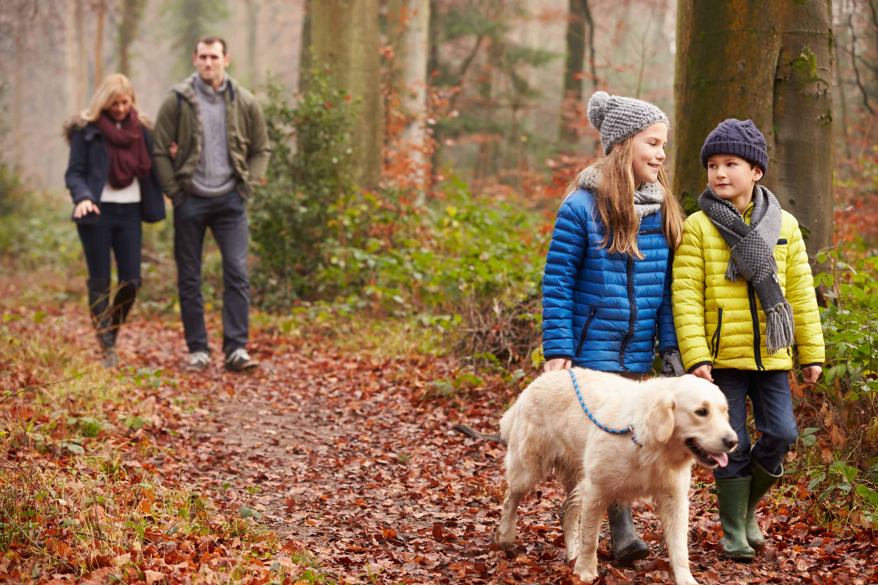 Family Walking Dog in the woods