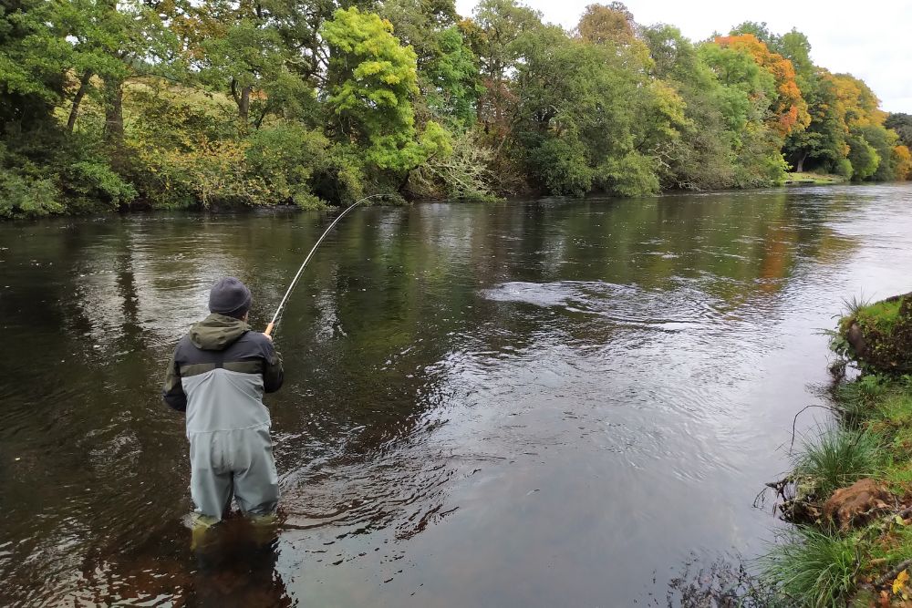 Man standing in the river fishing.