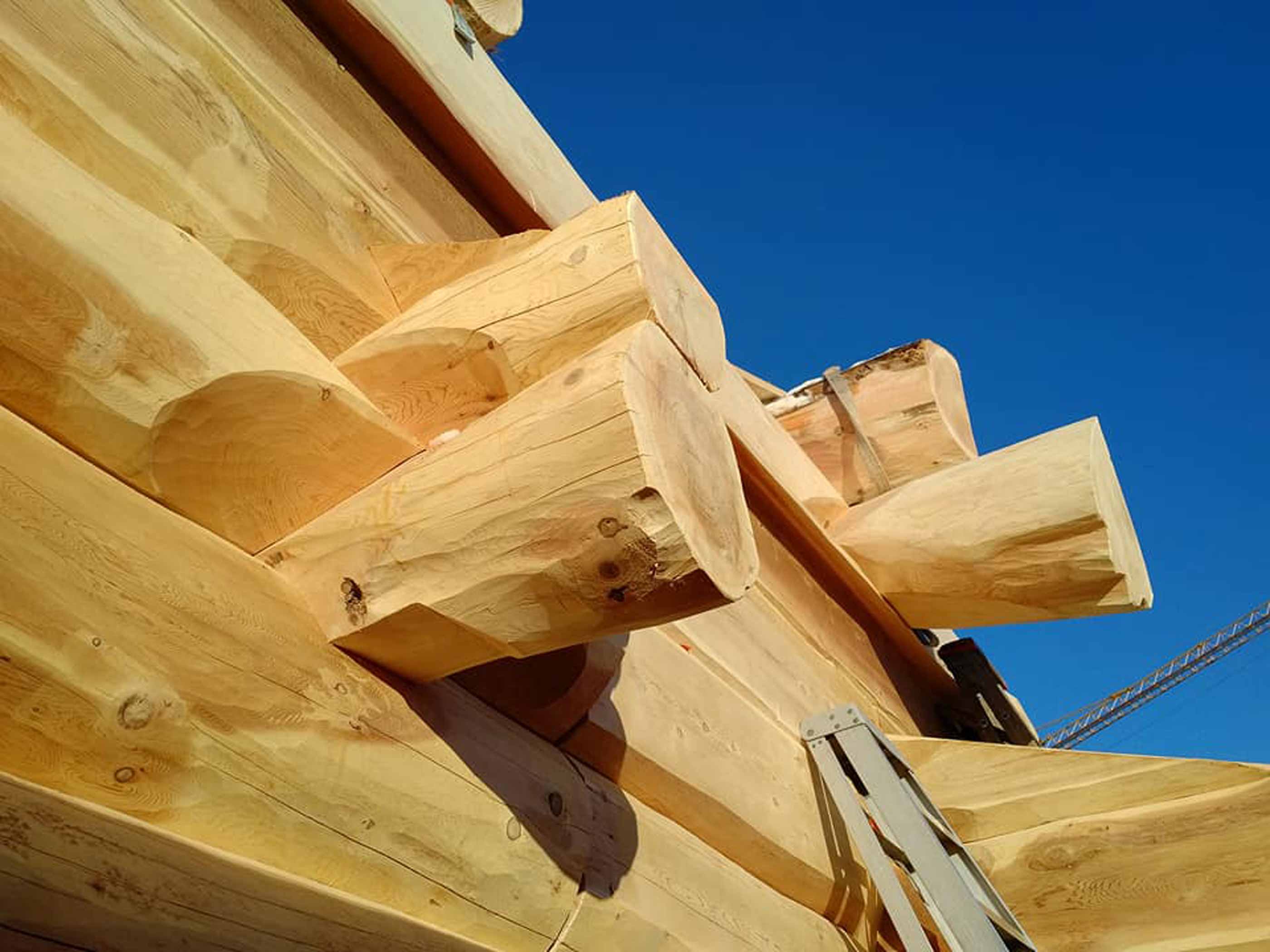 Log Cabins being crafted for Eagle Brae in British Columbia