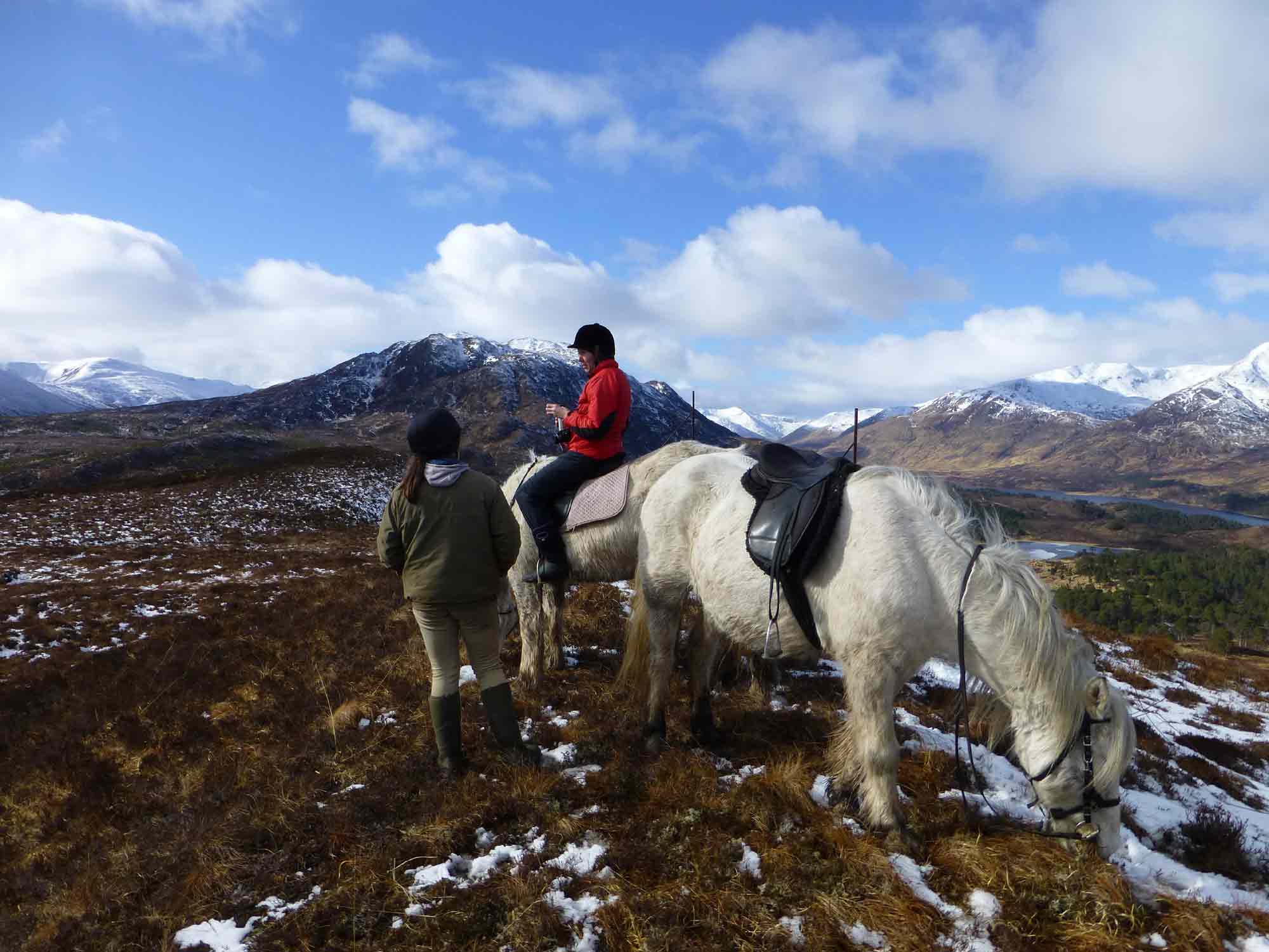 Highland Pony Trekking in Scotland